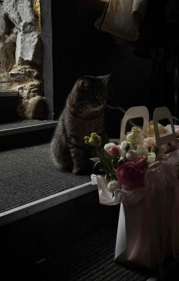 Minwon | Tương Phùng | Textfic