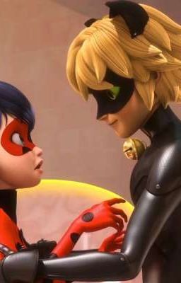 🐞🐈‍⬛ Miraculous 🐈‍⬛🐞