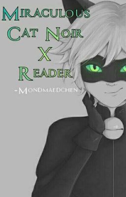 Miraculous Cat Noir X Reader 