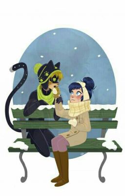 Miraculous ladybug And Catnoir: Broken Princess