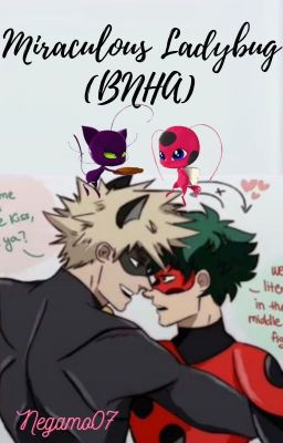 Miraculous Ladybug (BNHA)