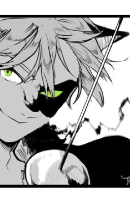 ~Miraculous Ladybug~ Chat Noir/Adrien x Male!Reader