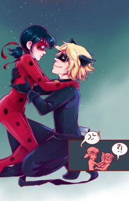 Miraculous Ladybug~ LadyNoir/Adrienette One Shots