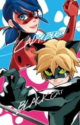 Miraculous Ladybug:Memes and Quotes