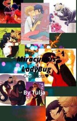 Miraculous Ladybug One Shots ♥