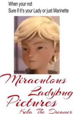 Miraculous Ladybug Pictures