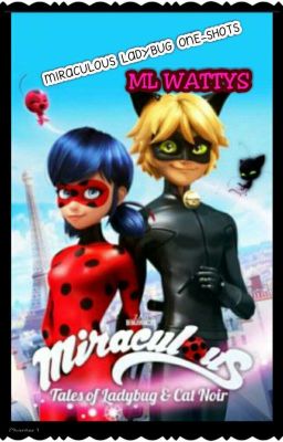 Miraculous Ladybug Randoms