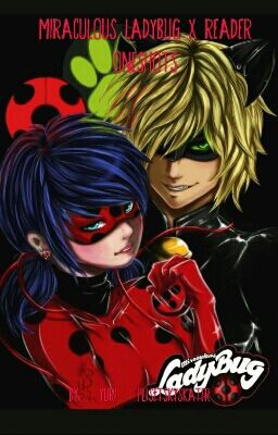 Miraculous Ladybug x reader ONE-SHOTS