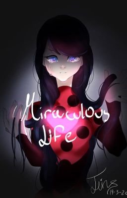 miraculous life || miraculous ladybug [slight au]