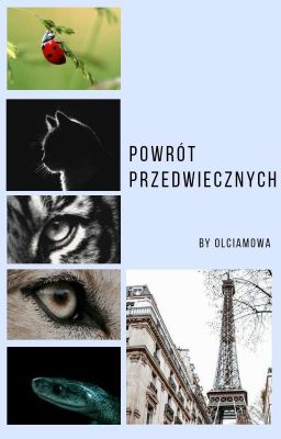 Miraculous - Powrót Przedwiecznych ZAWIESZONE