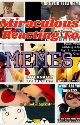 Miraculous: Reacting to Memes