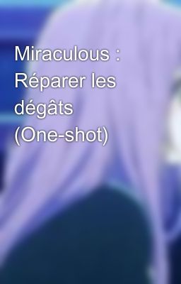 Miraculous : Réparer les dégâts (One-shot)