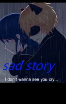 Miraculous:sad story