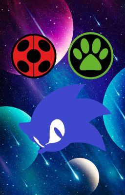 Miraculous Sonic 🐞🐈‍⬛🦔