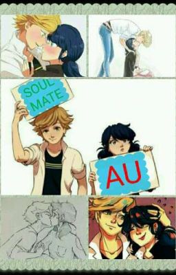 miraculous soulmate AU