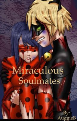 Miraculous Soulmates