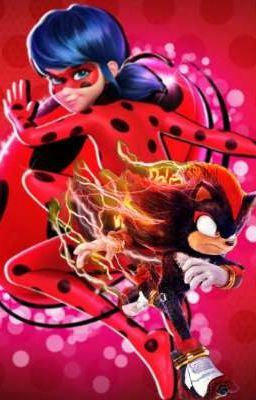 Miraculous: tales of ladybug, Cat Noir and Shadow the hedgehog