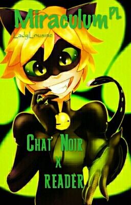 Miraculum: Chat Noir x reader (pl) 