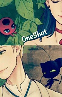 Miraculum: OneShot