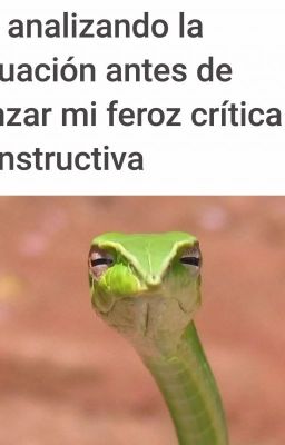 Mis criticas culeras