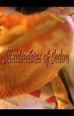 Misadventures of Indom