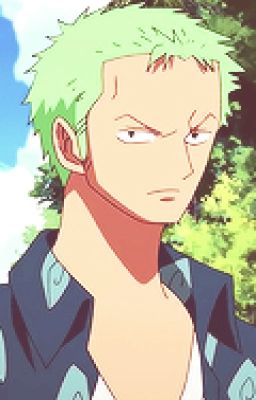 Misjudged- Zoro x Reader (Modern AU)