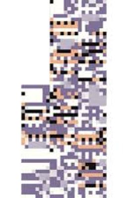 MissingNo. Estuvo aquí...