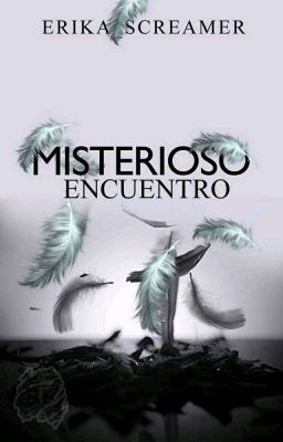 MISTERIOSO ENCUENTRO.