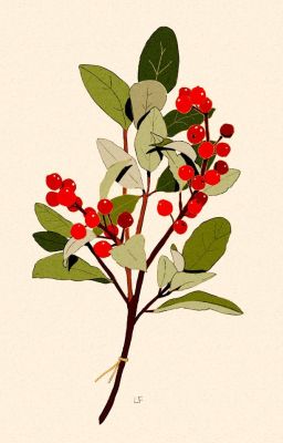 Mistletoe [PianoLipp]