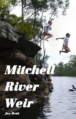 Mitchell River Weir