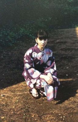 mj; cây sơn trà.