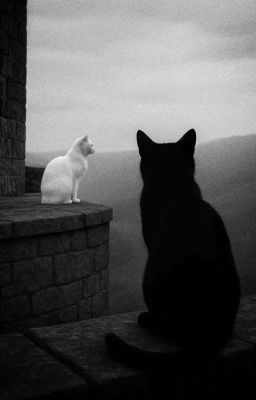 MJ | kẻ theo dõi! 