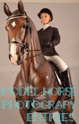 Model Horse Photo Show Entries