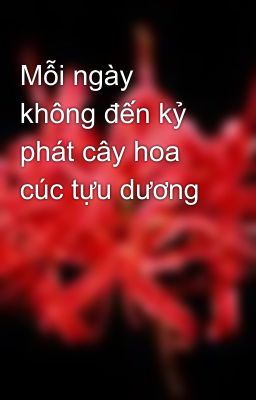 Mỗi ngày không đến kỷ phát cây hoa cúc tựu dương