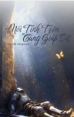Mối Tình Trôn Cùng Giáp Sắt
