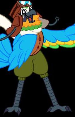 mollie macaw X Humano