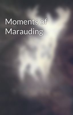 Moments of Marauding