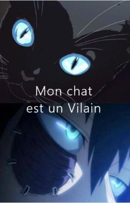 Mon chat est un Vilain | Dabi x Riku