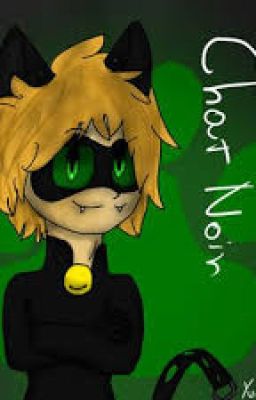 mon chat noir de minou