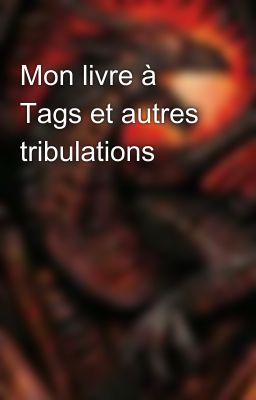 Mon livre à Tags et autres tribulations