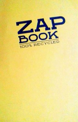 Mon Zap book