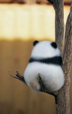 monday