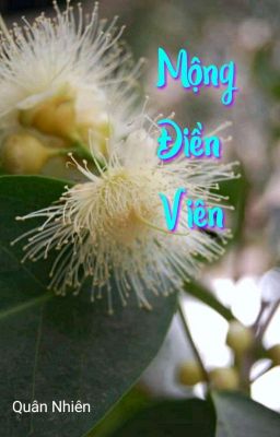   Mộng Điền Viên