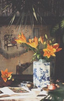 Mộng Hoa Trân Lệ