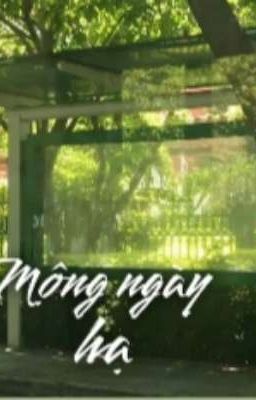 Mộng ngày hạ 