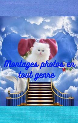 Montages photos en tout genre [commandes ouvertes]