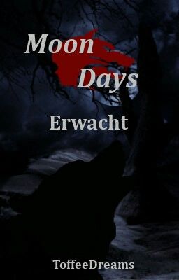 Moon Days - Erwacht