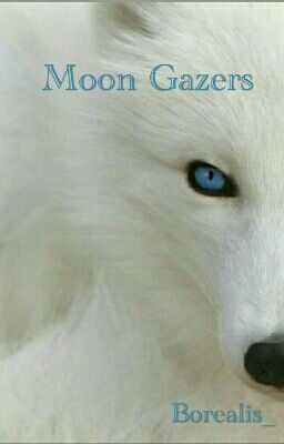 Moon Gazer