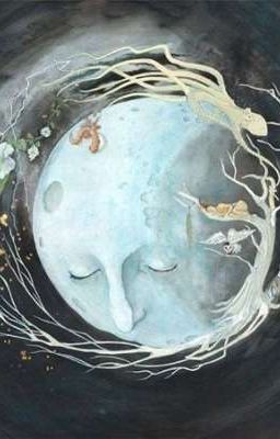 Moonbeams And Tranquil Dreams