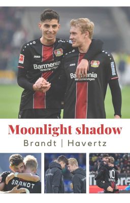 Moonlight shadow • Brandt | Havertz ✓